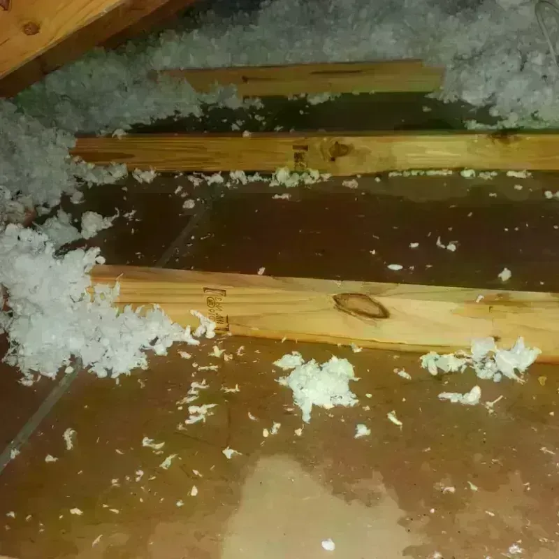 Attic Water Damage in Manatee County, FL