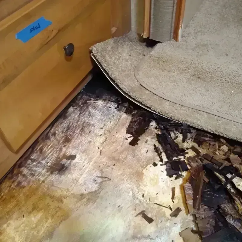 Wood Floor Water Damage in Manatee County, FL